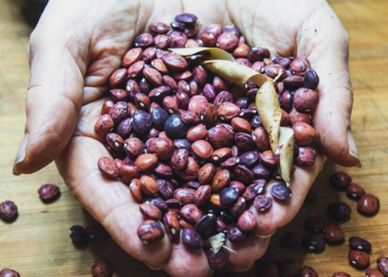 Uno de los alimentos que se comen en las ‘zonas azules’ son los frijoles.