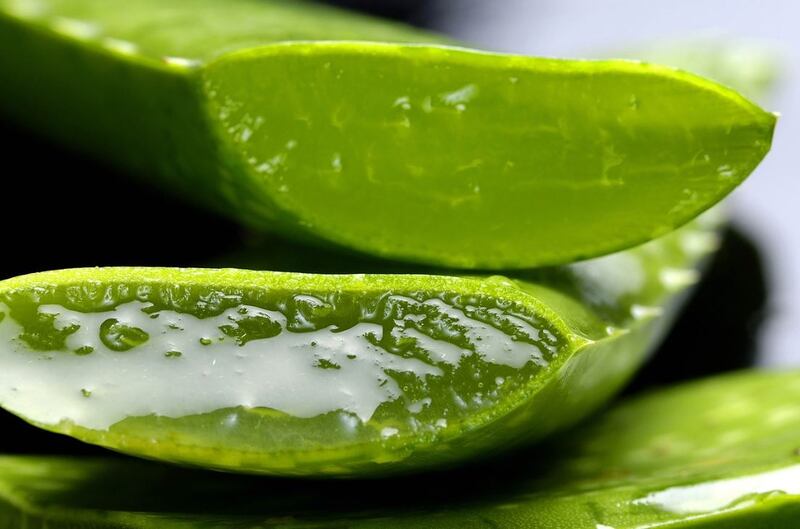 El aloe vera es una planta con grandes poderes para embellecer la piel