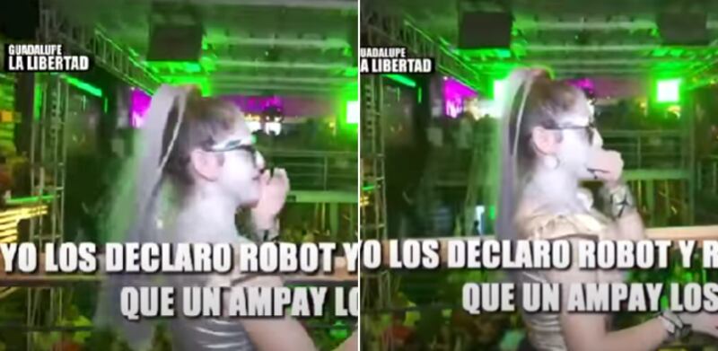 Robotina cajamarquina