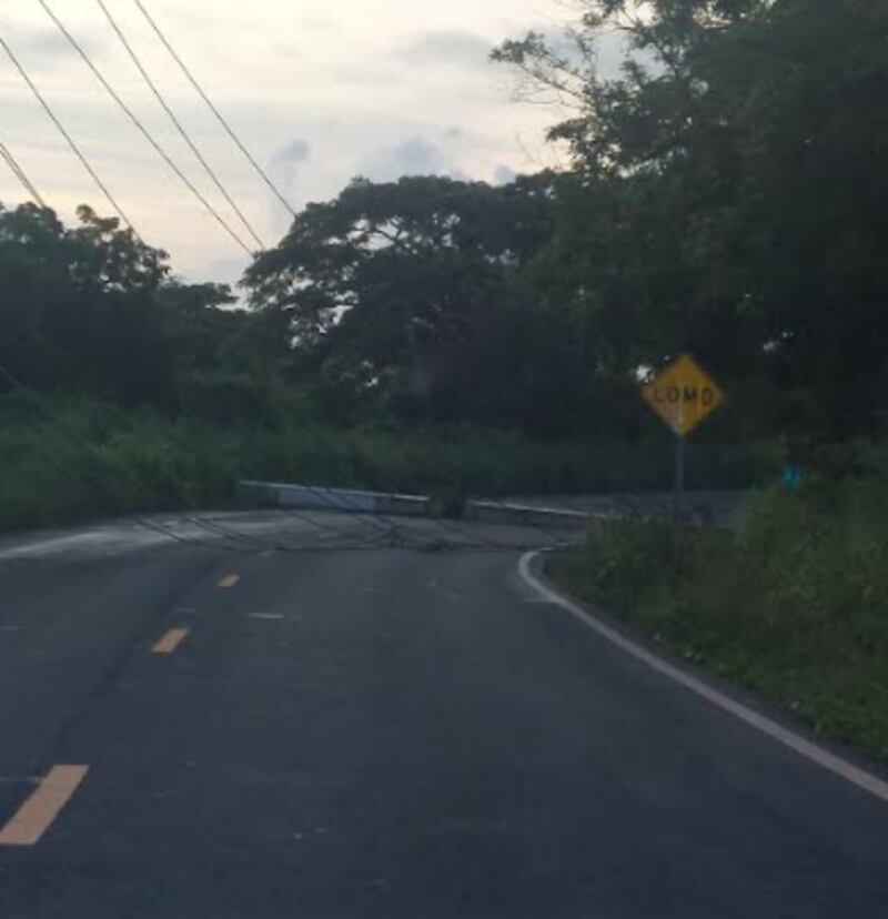 Cierran carretera en Fajardo por caída de un poste.