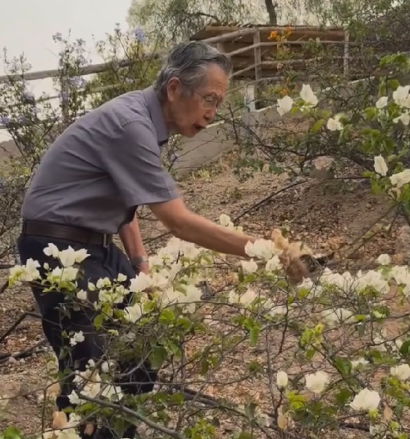 Alberto Fujimori, se agrava estado de salud del expresidente de Perú.