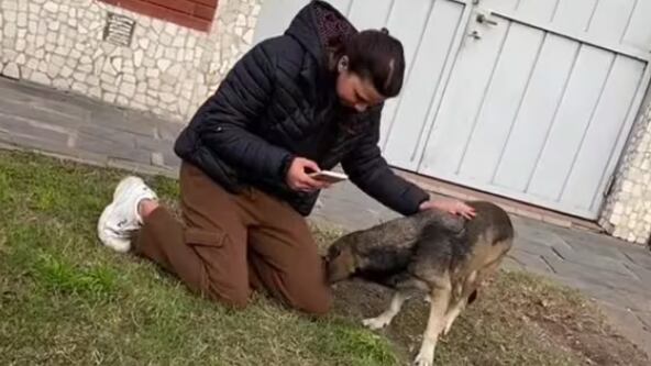 Viral: Joven se reencontró con su perro perdido tras tres años.