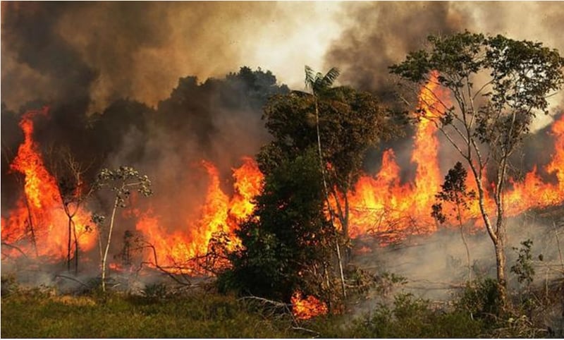 15 personas han muerto en los incendios forestales en la Amazonía del Perú