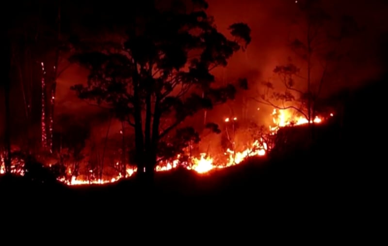 173 incendios forestales a nivel nacional hasta la fecha (14/09/2024) afectan a 20 regiones del Perú